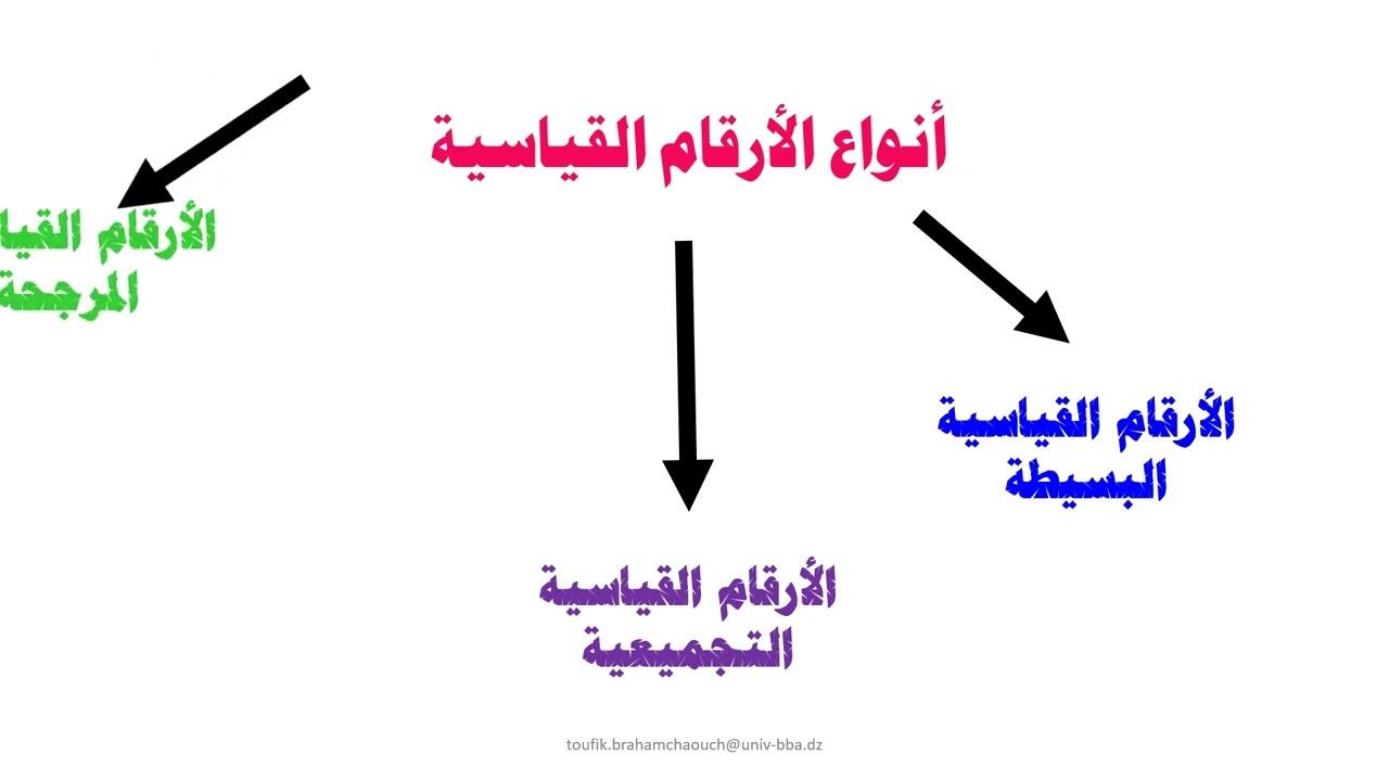 الأرقام القياسية في الفوضى: كيف يمكنك أن تكون بطلاً من دون موهبة حقيقية؟