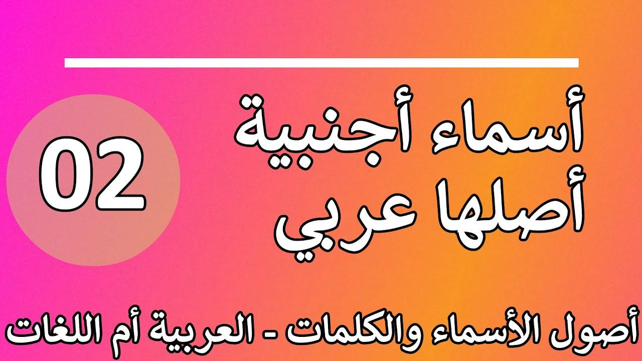 أصول الأسماء العربية: كيف‌ تعكس تاريخ العائلة وثقافتها